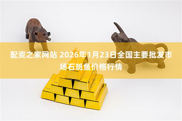 配资之家网站 2026年1月23日全国主要批发市场石斑鱼价格行情