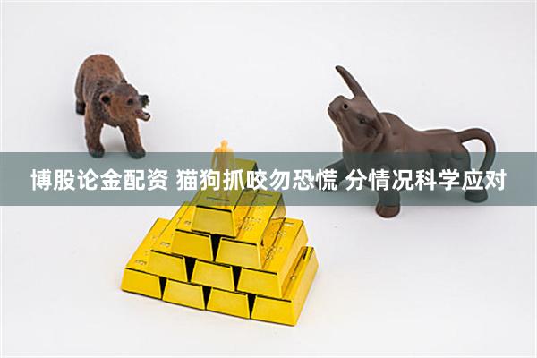 博股论金配资 猫狗抓咬勿恐慌 分情况科学应对