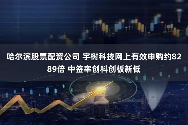 哈尔滨股票配资公司 宇树科技网上有效申购约8289倍 中签率创科创板新低